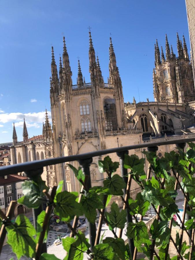 Mirada A La Catedral-apartamentos Catedral * Burgo