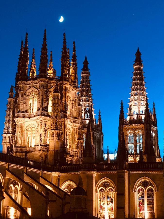 Mirada A La Catedral-apartamentos Catedral Burgo